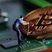 An overview of a modern mining farm utilizing renewable energy sources for efficient cryptocurrency extraction